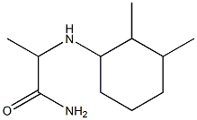 2-[(2,3-dimethylcyclohexyl)amino]propanamide Struktur