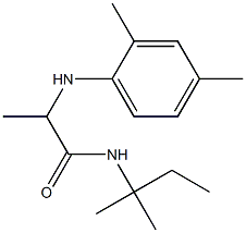 2-[(2,4-dimethylphenyl)amino]-N-(2-methylbutan-2-yl)propanamide Struktur