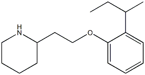 2-{2-[2-(butan-2-yl)phenoxy]ethyl}piperidine Struktur