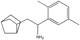 2-{bicyclo[2.2.1]heptan-2-yl}-1-(2,5-dimethylphenyl)ethan-1-amine Struktur