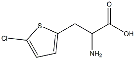 2-amino-3-(5-chlorothien-2-yl)propanoic acid Struktur