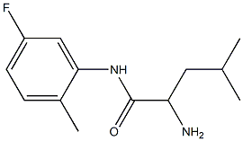 2-amino-N-(5-fluoro-2-methylphenyl)-4-methylpentanamide Struktur