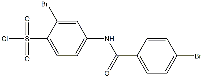 2-bromo-4-[(4-bromobenzene)amido]benzene-1-sulfonyl chloride Struktur