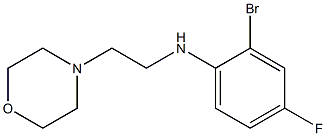 2-bromo-4-fluoro-N-[2-(morpholin-4-yl)ethyl]aniline Struktur