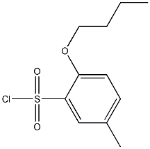 2-butoxy-5-methylbenzene-1-sulfonyl chloride Struktur