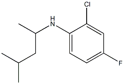 2-chloro-4-fluoro-N-(4-methylpentan-2-yl)aniline Struktur