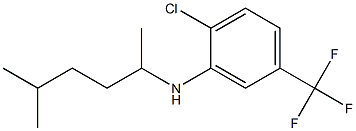 2-chloro-N-(5-methylhexan-2-yl)-5-(trifluoromethyl)aniline Struktur