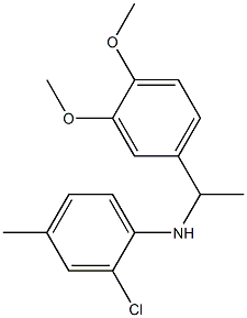 2-chloro-N-[1-(3,4-dimethoxyphenyl)ethyl]-4-methylaniline Struktur