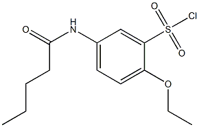 2-ethoxy-5-pentanamidobenzene-1-sulfonyl chloride Struktur