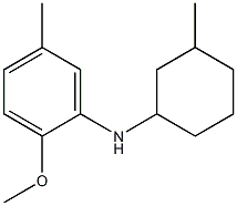 2-methoxy-5-methyl-N-(3-methylcyclohexyl)aniline Struktur