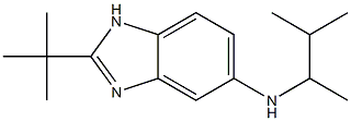 2-tert-butyl-N-(3-methylbutan-2-yl)-1H-1,3-benzodiazol-5-amine Struktur