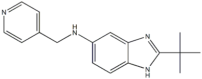 2-tert-butyl-N-(pyridin-4-ylmethyl)-1H-1,3-benzodiazol-5-amine Struktur