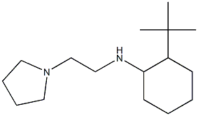 2-tert-butyl-N-[2-(pyrrolidin-1-yl)ethyl]cyclohexan-1-amine Struktur