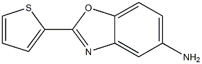 2-thien-2-yl-1,3-benzoxazol-5-amine Struktur