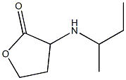 3-(butan-2-ylamino)oxolan-2-one Struktur