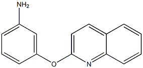 3-(quinolin-2-yloxy)aniline Struktur