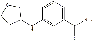 3-(thiolan-3-ylamino)benzamide Struktur