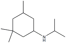 3,3,5-trimethyl-N-(propan-2-yl)cyclohexan-1-amine Struktur