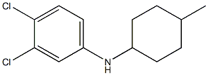 3,4-dichloro-N-(4-methylcyclohexyl)aniline Struktur