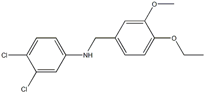 3,4-dichloro-N-[(4-ethoxy-3-methoxyphenyl)methyl]aniline Struktur