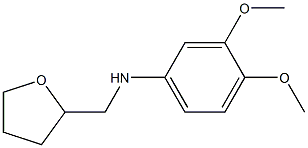 3,4-dimethoxy-N-(oxolan-2-ylmethyl)aniline Struktur