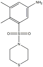 3,4-dimethyl-5-(thiomorpholine-4-sulfonyl)aniline Struktur