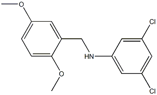 3,5-dichloro-N-[(2,5-dimethoxyphenyl)methyl]aniline Struktur