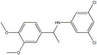 3,5-dichloro-N-[1-(3,4-dimethoxyphenyl)ethyl]aniline Struktur