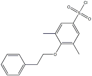 3,5-dimethyl-4-(2-phenylethoxy)benzene-1-sulfonyl chloride Struktur