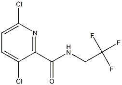 3,6-dichloro-N-(2,2,2-trifluoroethyl)pyridine-2-carboxamide Struktur