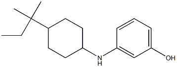 3-{[4-(2-methylbutan-2-yl)cyclohexyl]amino}phenol Struktur