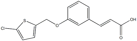 3-{3-[(5-chlorothiophen-2-yl)methoxy]phenyl}prop-2-enoic acid Struktur