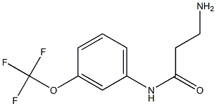 3-amino-N-[3-(trifluoromethoxy)phenyl]propanamide Struktur