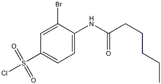 3-bromo-4-hexanamidobenzene-1-sulfonyl chloride Struktur