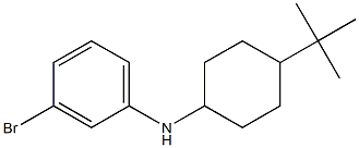 3-bromo-N-(4-tert-butylcyclohexyl)aniline Struktur