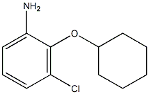 3-chloro-2-(cyclohexyloxy)aniline Struktur