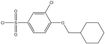 3-chloro-4-(cyclohexylmethoxy)benzene-1-sulfonyl chloride Struktur