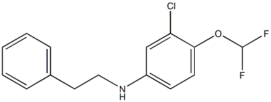 3-chloro-4-(difluoromethoxy)-N-(2-phenylethyl)aniline Struktur