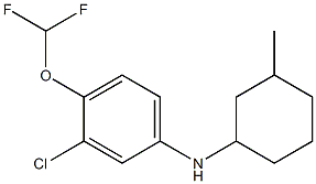 3-chloro-4-(difluoromethoxy)-N-(3-methylcyclohexyl)aniline Struktur