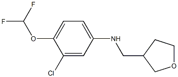 3-chloro-4-(difluoromethoxy)-N-(oxolan-3-ylmethyl)aniline Struktur