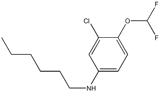 3-chloro-4-(difluoromethoxy)-N-hexylaniline Struktur