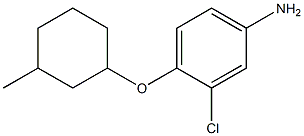 3-chloro-4-[(3-methylcyclohexyl)oxy]aniline Struktur