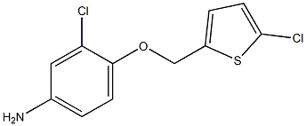 3-chloro-4-[(5-chlorothiophen-2-yl)methoxy]aniline Struktur