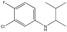 3-chloro-4-fluoro-N-(3-methylbutan-2-yl)aniline Struktur