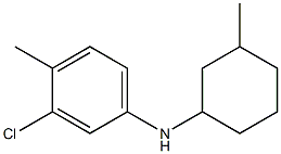 3-chloro-4-methyl-N-(3-methylcyclohexyl)aniline Struktur