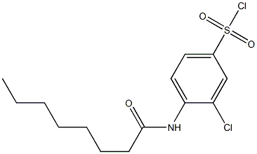 3-chloro-4-octanamidobenzene-1-sulfonyl chloride Struktur