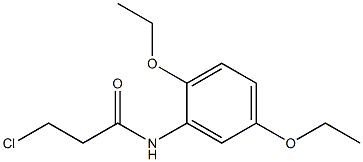 3-chloro-N-(2,5-diethoxyphenyl)propanamide Struktur