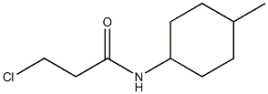 3-chloro-N-(4-methylcyclohexyl)propanamide Struktur