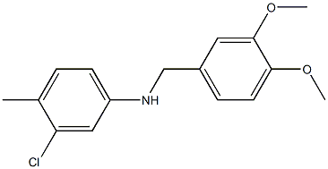 3-chloro-N-[(3,4-dimethoxyphenyl)methyl]-4-methylaniline Struktur