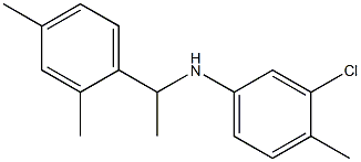 3-chloro-N-[1-(2,4-dimethylphenyl)ethyl]-4-methylaniline Struktur